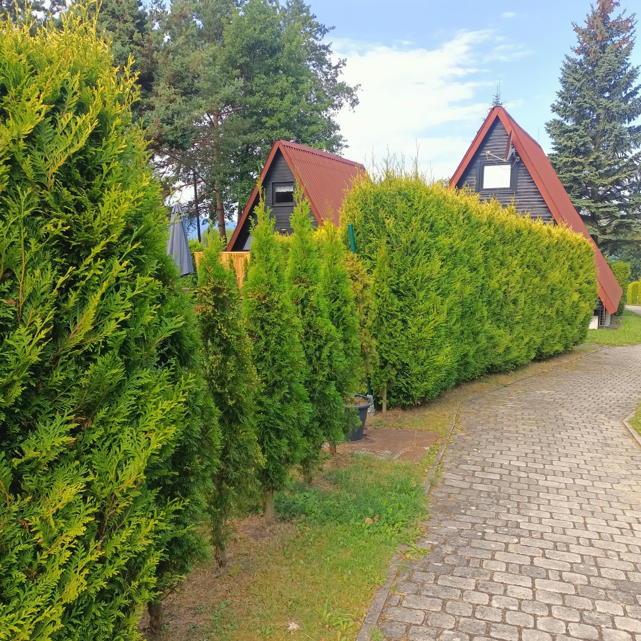 Ścieżka brukowa i zagospodarowanie terenu